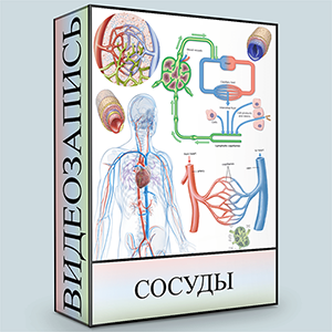 [Людмила Малышева] Сосуды (2020)_0.png